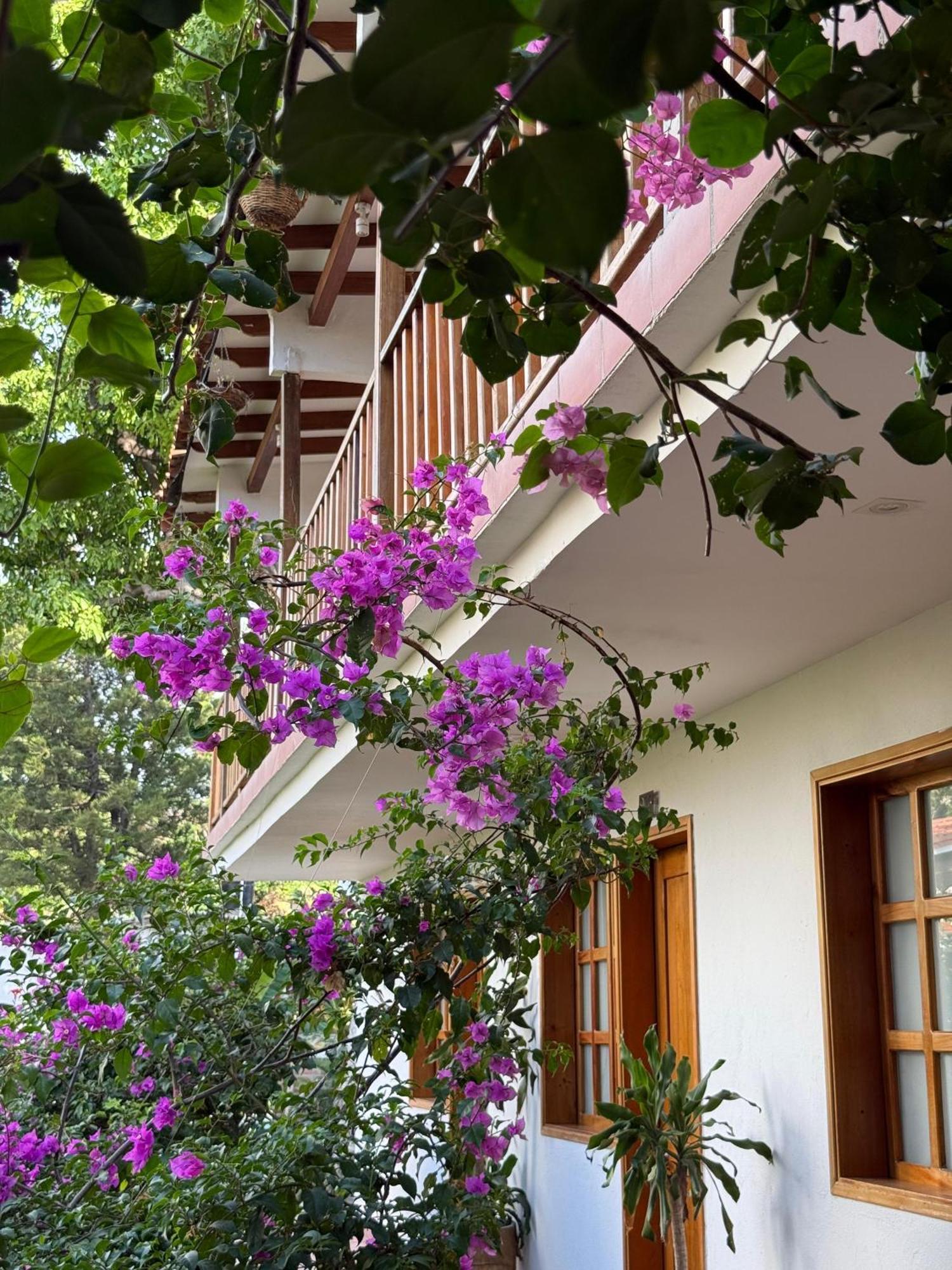 Hotel Jardin Boutique Rodadero Santa Marta  Exterior photo